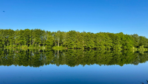 MDP Lake, Small Exclusive Carp Lake France, lake photo 21