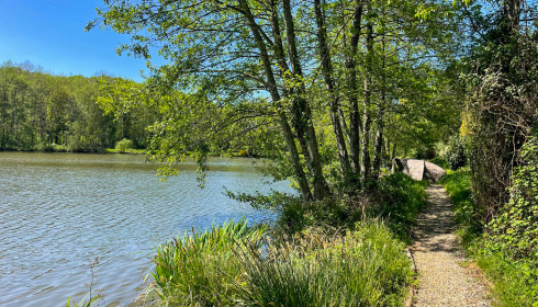 MDP Lake, Small Exclusive Carp Lake France, lake photo 9