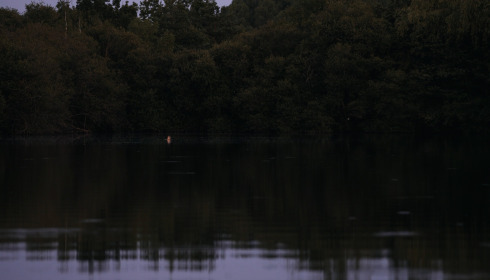 Old Oaks, Carp France, lake photo 2
