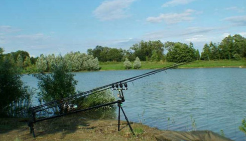 Beaurepaire, Carp lakes near Calais, lake photo 29