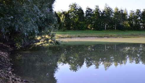 Beaurepaire, Carp lakes near Calais, lake photo 22