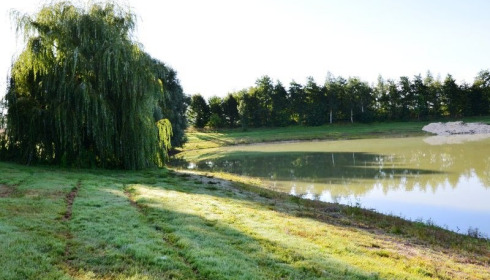 Beaurepaire, Carp lakes near Calais, lake photo 21