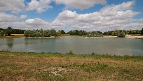 Beaurepaire, Carp lakes near Calais, lake photo 10