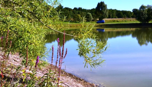 Beaurepaire, Carp lakes near Calais, lake photo 17