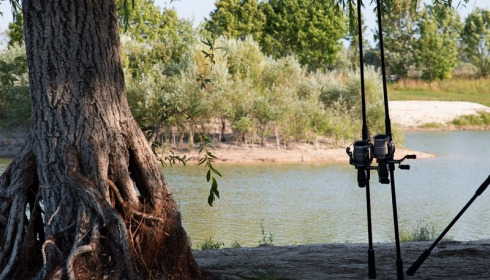 Beaurepaire, Carp lakes near Calais, lake photo 9
