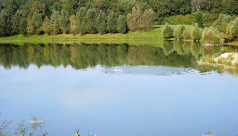 Beaurepaire, Carp lakes near Calais, lake photo 30