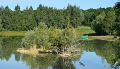 Beaurepaire, Carp lakes near Calais, lake photo 19