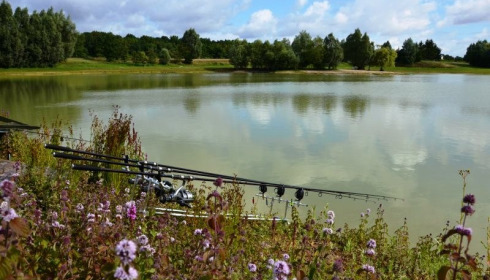 Beaurepaire, Carp lakes near Calais, lake photo 4