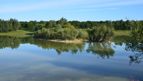 Beaurepaire, Carp lakes near Calais, lake photo 14