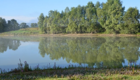 Beaurepaire, Carp lakes near Calais, lake photo 16