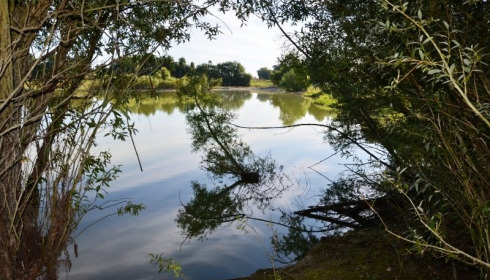 Beaurepaire, Carp lakes near Calais, lake photo 24