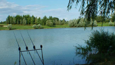 Beaurepaire, Carp lakes near Calais, lake photo 31