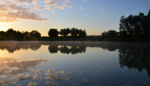 Beaurepaire, Carp lakes near Calais, lake photo 12