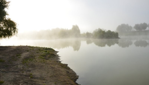 Beaurepaire, Carp lakes near Calais, lake photo 11