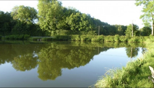 Cailleaux, Easy Carp Lake in France, lake photo 22