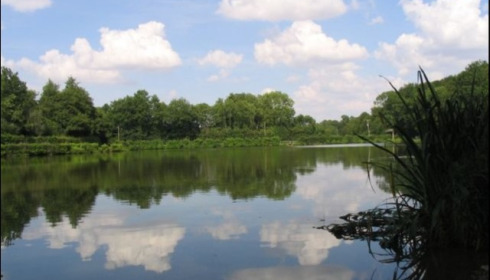 Cailleaux, Easy Carp Lake in France, lake photo 14