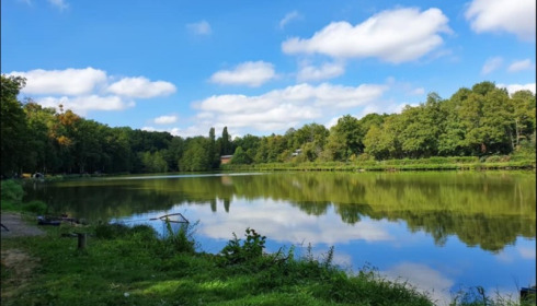 Cailleaux, Easy Carp Lake in France, lake photo 23