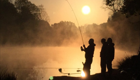 Cailleaux, Easy Carp Lake in France, lake photo 17
