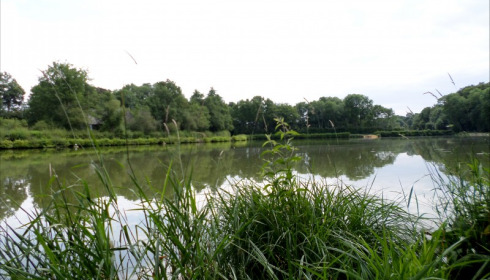 Cailleaux, Easy Carp Lake in France, lake photo 20