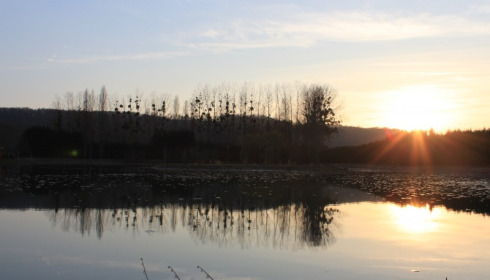 Deux Iles, Carp Fishing in France near Calais, lake photo 5