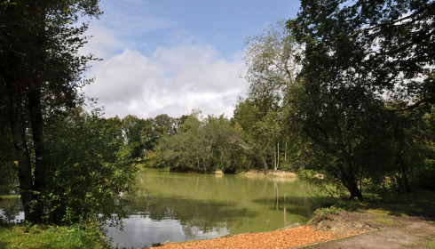 Eau De Vie North, Exclusive Carp Fishing Holiday in France, lake photo 32