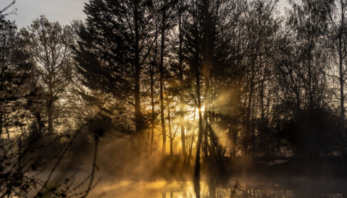 Eau De Vie North, Exclusive Carp Fishing Holiday in France, lake photo 29