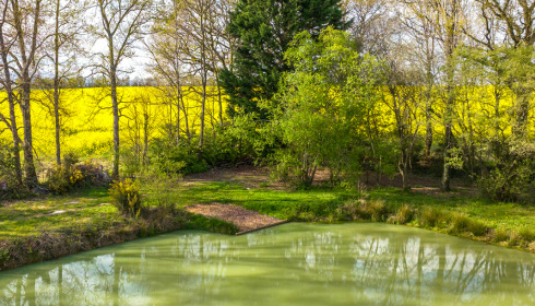 Eau De Vie North, Exclusive Carp Fishing Holiday in France, lake photo 16