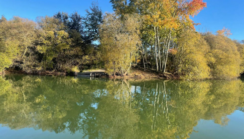 Emeraude, Big Carp in France, lake photo 7