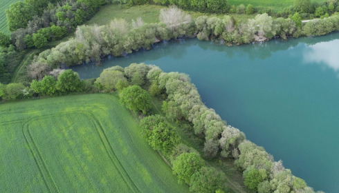 Emeraude, Big Carp in France, lake photo 11