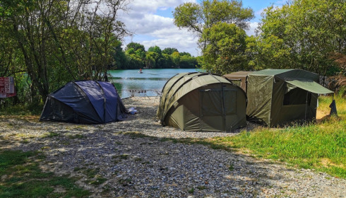 Emeraude, Big Carp in France, lake photo 4