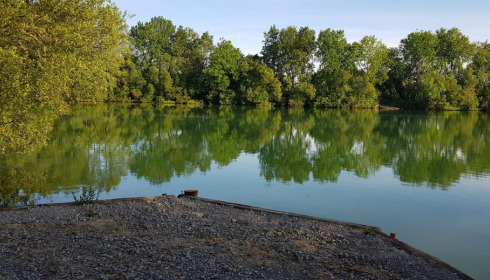 Emeraude, Big Carp in France, lake photo 8