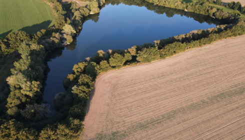 Emeraude, Big Carp in France, lake photo 10