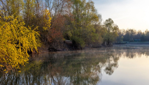 Evaro, Big Carp Fishing France, lake photo 10