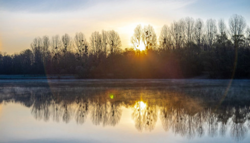 Evaro, Big Carp Fishing France, lake photo 30