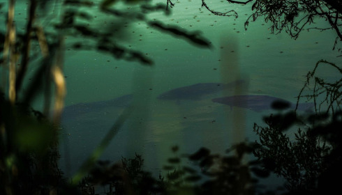 Evaro, Big Carp Fishing France, lake photo 11