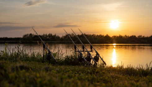 Fullys Lake, Unique Big Carp Fishing in France, lake photo 5