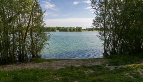 Fullys Lake, Unique Big Carp Fishing in France, Swim 2