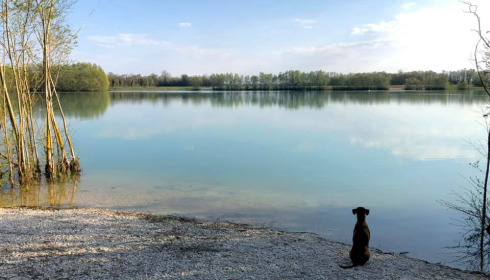 Fullys Lake, Unique Big Carp Fishing in France, lake photo 6