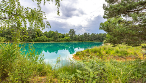 Golden Carp Lake, Big Carp Fishing France with a Social Lodge, lake photo 28