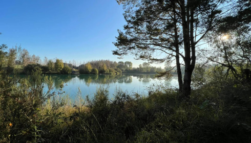 Golden Carp Lake, Big Carp Fishing France with a Social Lodge, lake photo 9