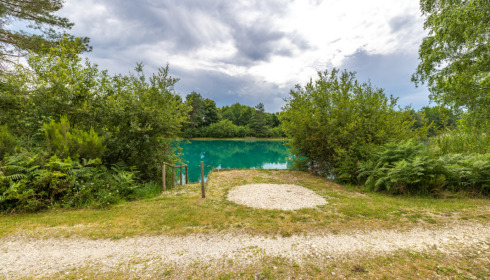 Golden Carp Lake, Big Carp Fishing France with a Social Lodge, Swim 1