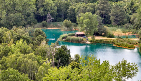 Golden Carp Lake, Big Carp Fishing France with a Social Lodge, Cabin Accommodation & Swim