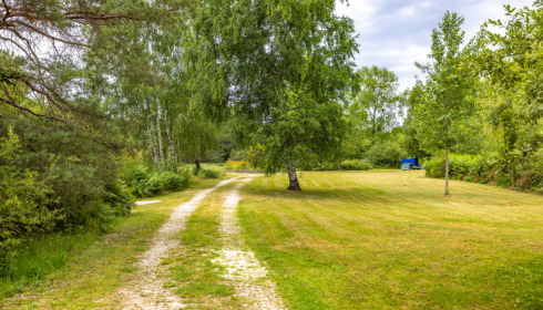 Golden Carp Lake, Big Carp Fishing France with a Social Lodge, lake photo 19