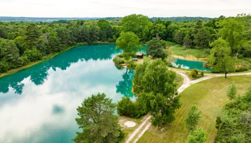 Golden Carp Lake, Big Carp Fishing France with a Social Lodge, Swim 1