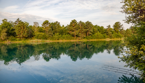 Golden Carp Lake, Big Carp Fishing France with a Social Lodge, lake photo 18
