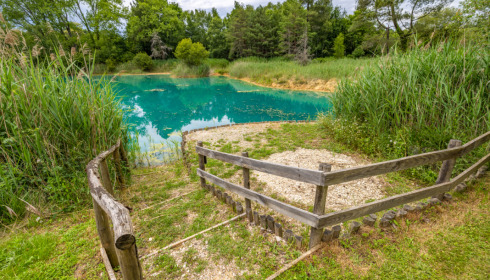 Golden Carp Lake, Big Carp Fishing France with a Social Lodge, Swim at Cabin Accommodation