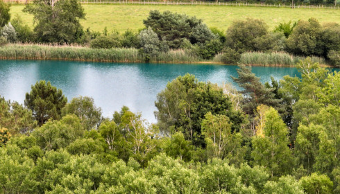 Golden Carp Lake, Big Carp Fishing France with a Social Lodge, lake photo 20