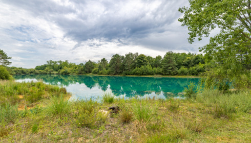 Golden Carp Lake, Big Carp Fishing France with a Social Lodge, lake photo 13