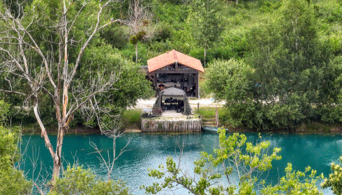 Golden Carp Lake, Big Carp Fishing France with a Social Lodge, Swim 2