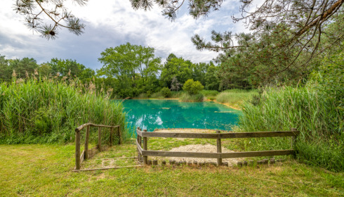 Golden Carp Lake, Big Carp Fishing France with a Social Lodge, Swim at Cabin Accommodation